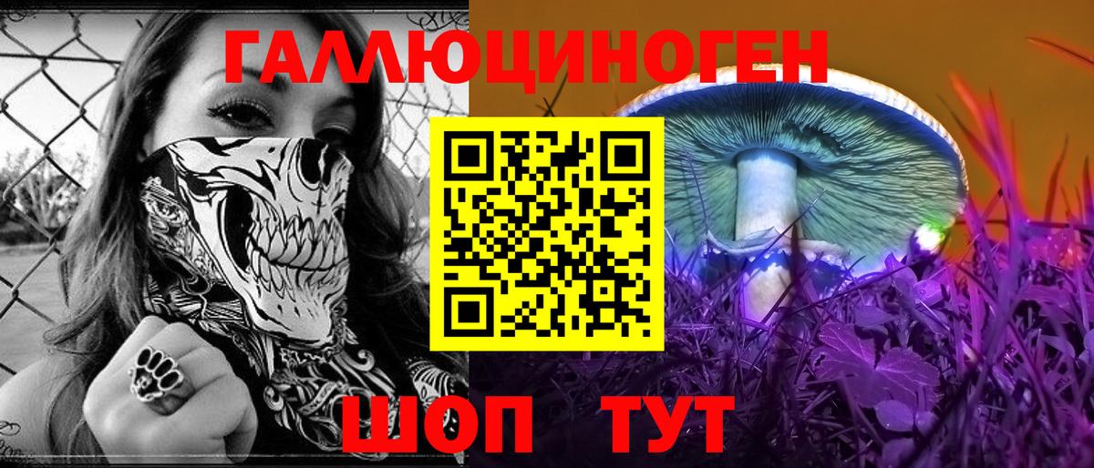 дарнет шоп  Вход с VPN  Ртищево  Псилоцибиновые грибы MAGIC MUSHROOMS  Галлюциногенные грибы ЛСД 